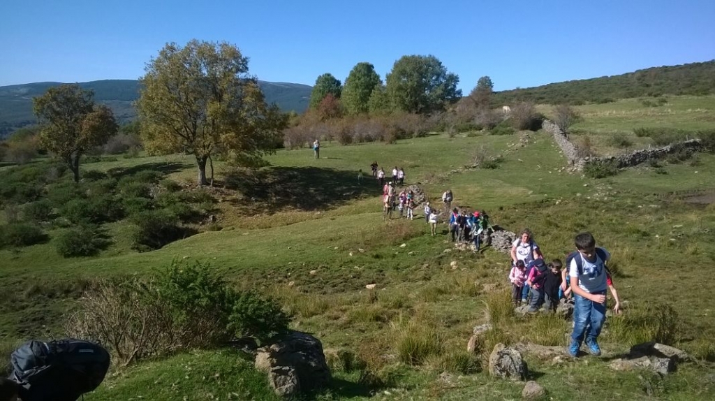 Puerto de la Morcuera | Rutas de Senderismo